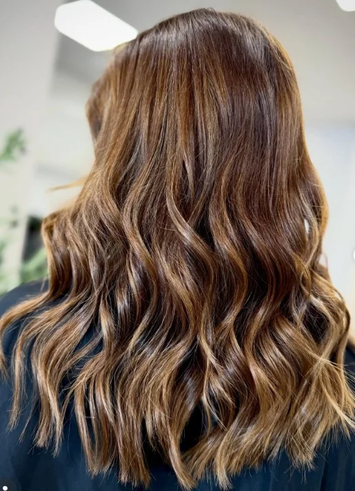 Light Chestnut Dimension