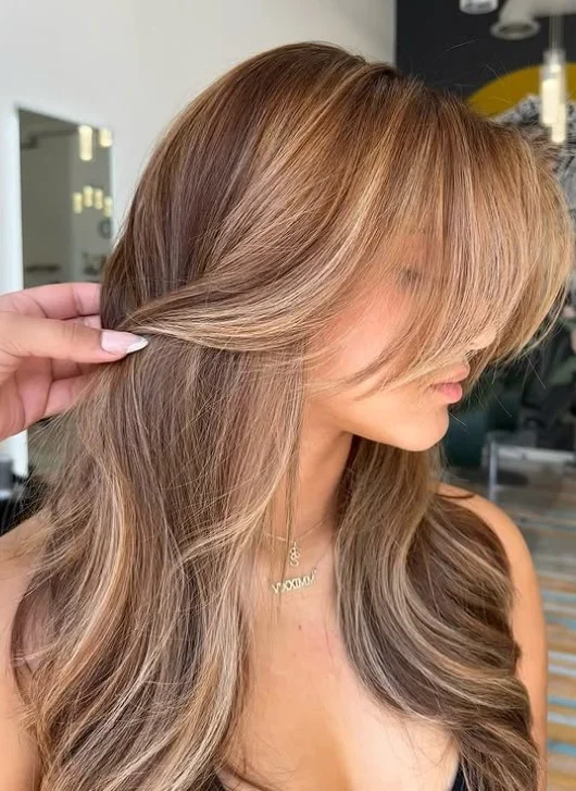 Golden Brunette Babylights