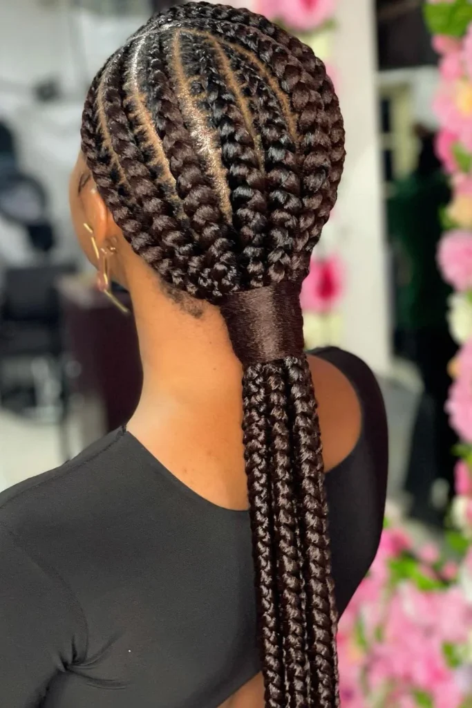 Braided Ponytail