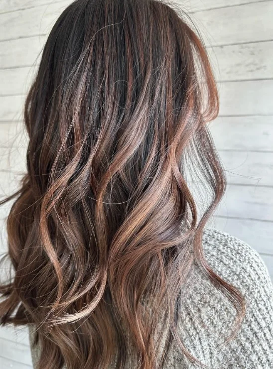Cinnamon Highlights